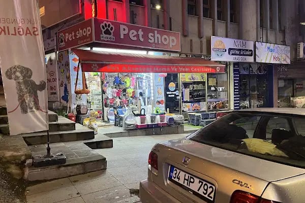 HIÇKIDIK PETSHOP AKVARYUM İZMİT - Resim 13