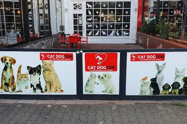 Veteriner Cat Dogtor - Resim 2
