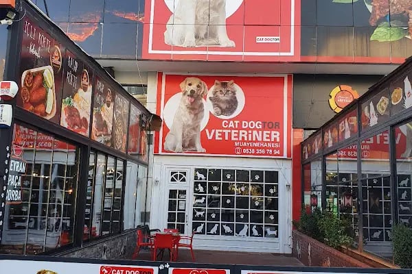 Veteriner Cat Dogtor - Resim 1