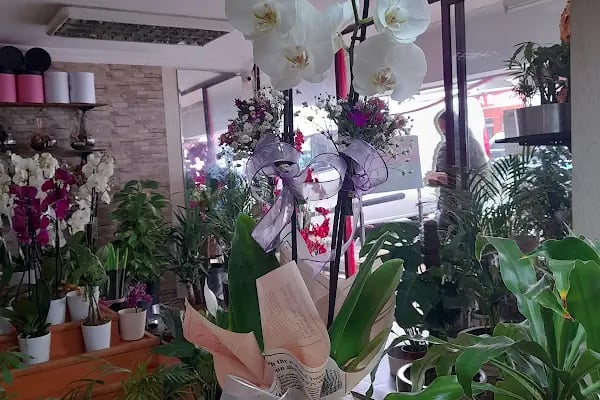 Royal Çiçekçilik - Alanya Çiçekçi -Alanya Çiçek Siparişi - Resim 4