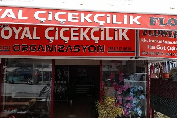 Royal Çiçekçilik - Alanya Çiçekçi -Alanya Çiçek Siparişi - Resim 2