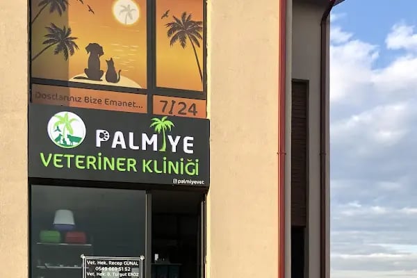 Palmiye Veteriner Kliniği - Resim 11