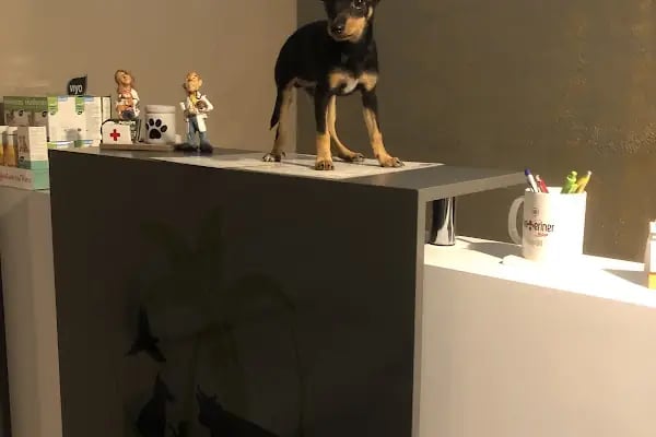 Palmiye Veteriner Kliniği - Resim 13