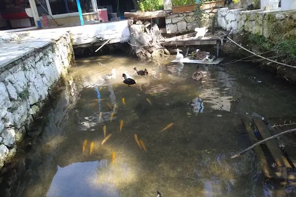 Ramazan Ustanın Yeri - Resim 5