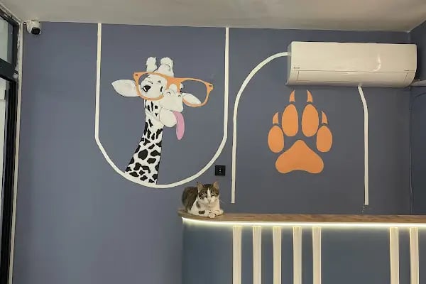 VETFLİX VETERİNER KLİNİĞİ - Resim 15