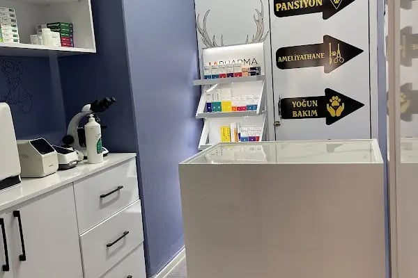 VETFLİX VETERİNER KLİNİĞİ - Resim 11
