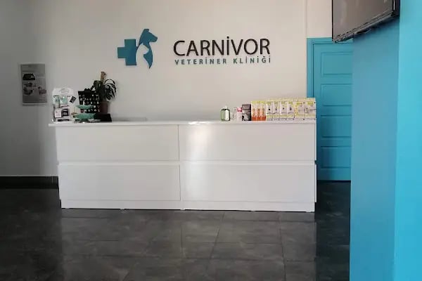 Carnivet Veteriner Kliniği - Resim 12