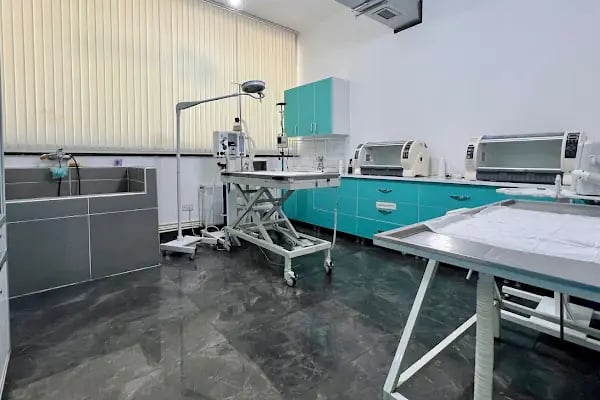 Carnivet Veteriner Kliniği - Resim 3