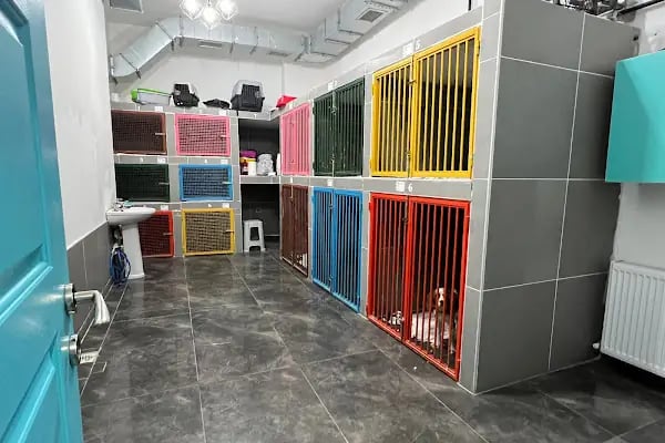 Carnivet Veteriner Kliniği - Resim 11