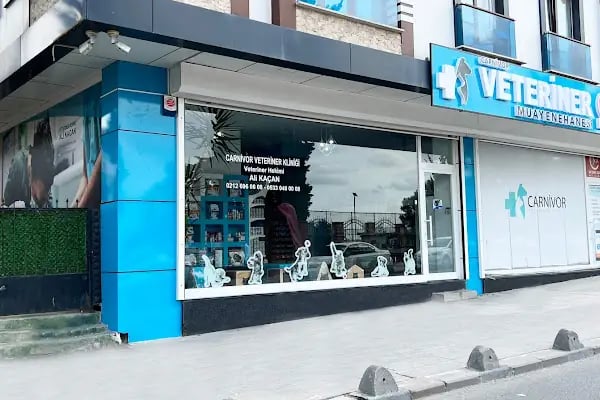 Carnivet Veteriner Kliniği - Resim 8