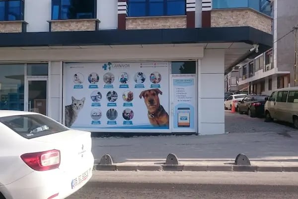 Carnivet Veteriner Kliniği - Resim 5