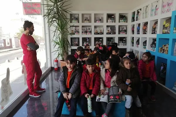 Carnivet Veteriner Kliniği - Resim 10