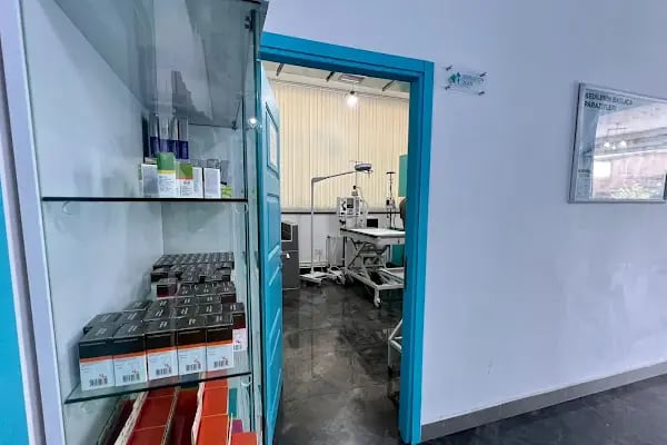 Carnivet Veteriner Kliniği - Resim 7