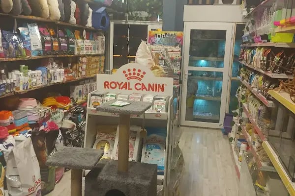 Van Amazon Petshop, Van Petshop - Resim 16