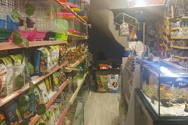 Van Amazon Petshop, Van Petshop - Resim 4