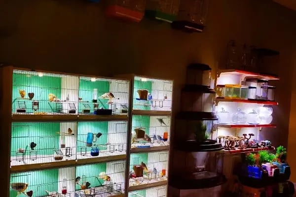 Van Amazon Petshop, Van Petshop - Resim 20
