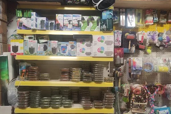 Van Amazon Petshop, Van Petshop - Resim 8