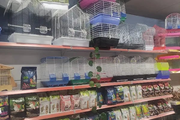 Van Amazon Petshop, Van Petshop - Resim 12