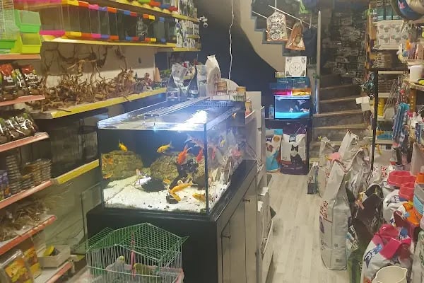 Van Amazon Petshop, Van Petshop - Resim 14