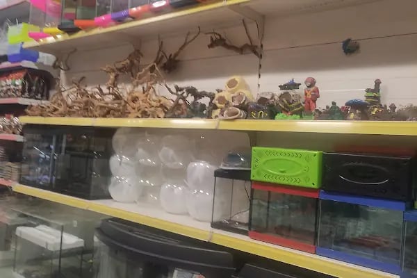 Van Amazon Petshop, Van Petshop - Resim 6
