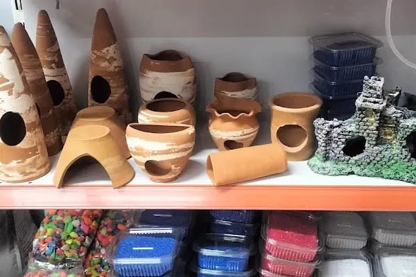 Elit petshop PETSHOP - Resim 6