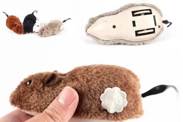 Elit petshop PETSHOP - Resim 9