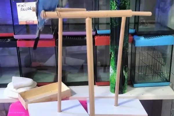 Elit petshop PETSHOP - Resim 18