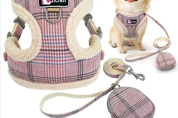 Elit petshop PETSHOP - Resim 15