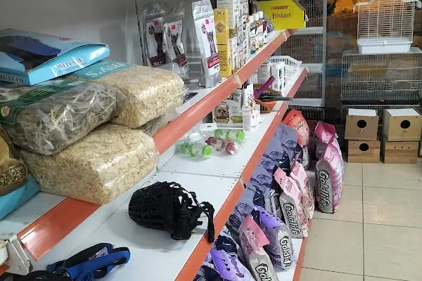 Elit petshop PETSHOP - Resim 7