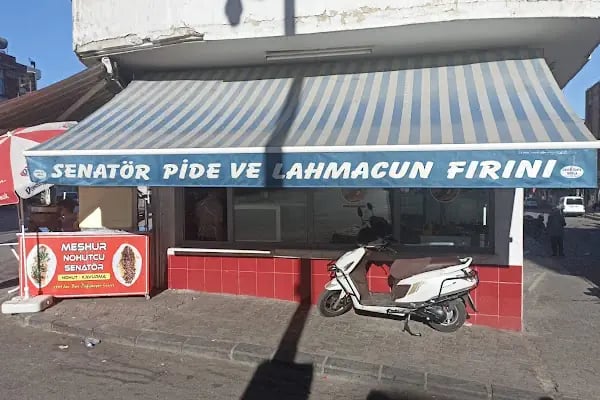 Meşhur Nohutçu Senatör - Resim 11