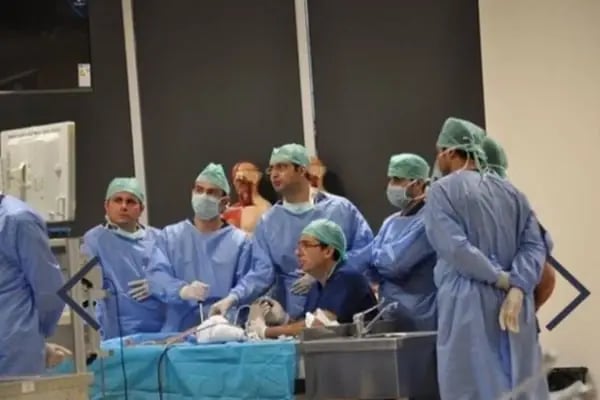 Prof. Dr. Muhittin Şener - Resim 7
