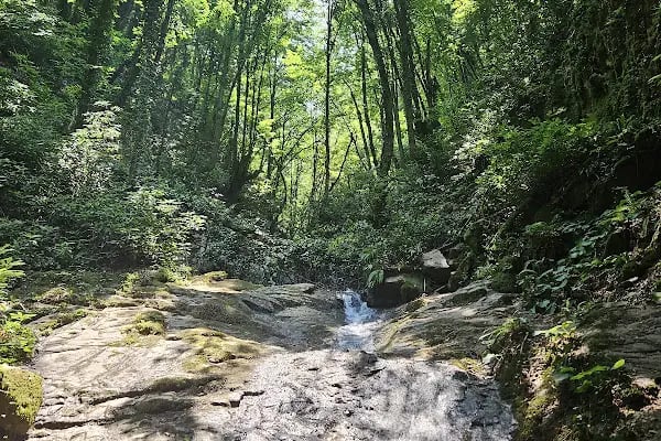 Nüzhetiye Şelalesi Trekking Parkuru - Resim 5