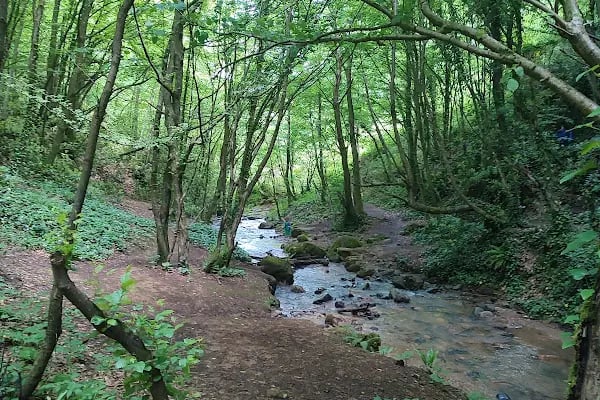 Nüzhetiye Şelalesi Trekking Parkuru - Resim 9