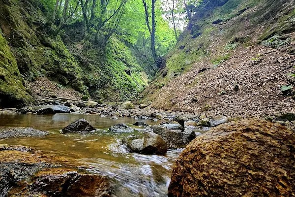 Nüzhetiye Şelalesi Trekking Parkuru - Resim 4