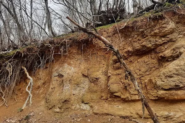 Nüzhetiye Şelalesi Trekking Parkuru - Resim 17