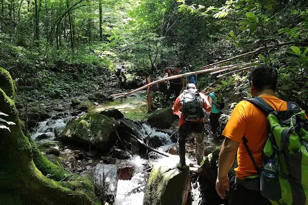 Nüzhetiye Şelalesi Trekking Parkuru - Resim 20