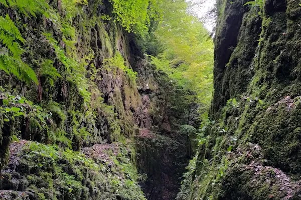 Nüzhetiye Şelalesi Trekking Parkuru - Resim 8
