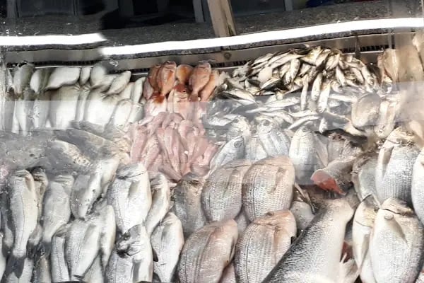 Dalaman Koyuncu Balık Market ve restaurant - Resim 9