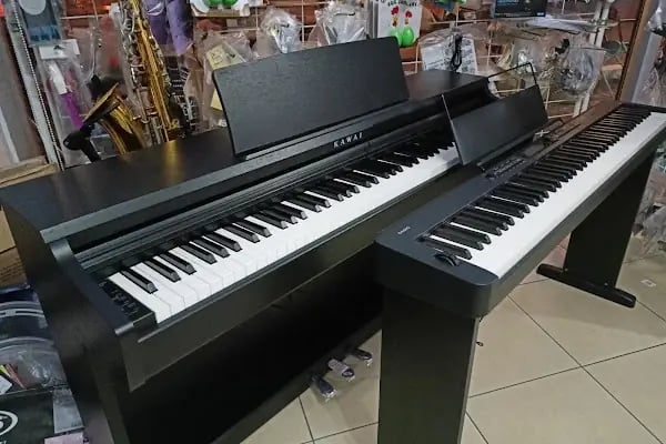 7nota Müzik Aletleri Alanya Guitar Shop - Resim 7