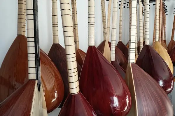 7nota Müzik Aletleri Alanya Guitar Shop - Resim 5