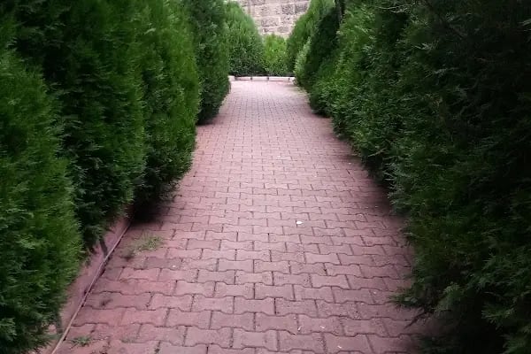 Şelale Park Lokantası - Resim 10