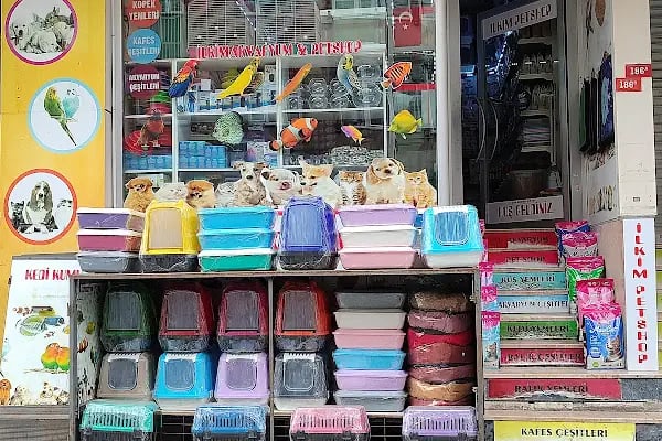 İLKİM PETSHOP - Resim 2