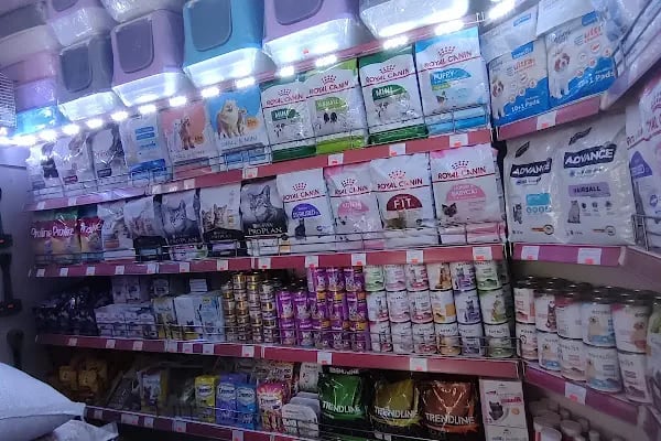 İLKİM PETSHOP - Resim 18