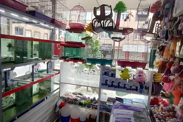 İLKİM PETSHOP - Resim 9