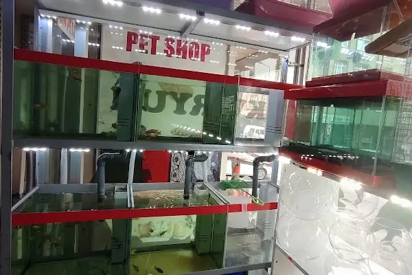 İLKİM PETSHOP - Resim 17