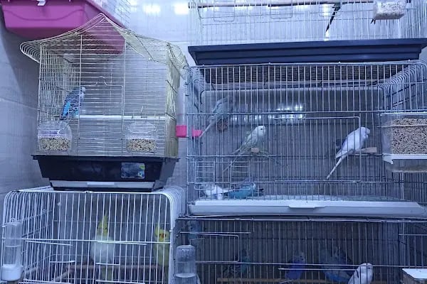 İLKİM PETSHOP - Resim 13