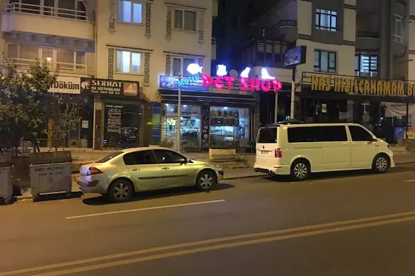 Mutlu akvaryum petshop - Resim 3