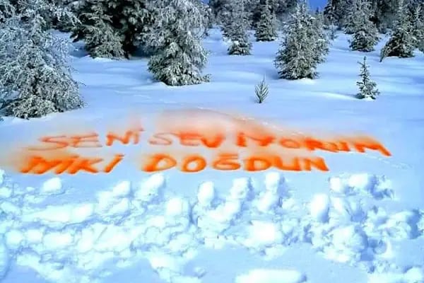 Dağevimdenizli - Resim 7