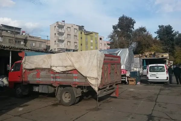 Nizip Beledyesi Sebze Hal - Resim 5