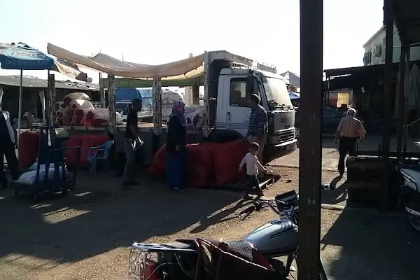 Nizip Beledyesi Sebze Hal - Resim 7